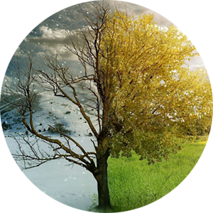 Пластиковые окна в Новосибирске | Компания Викор